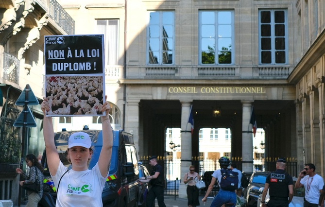 Loi Duplomb, rétention en CRA, PLM : le Conseil constitutionnel fait le ménage